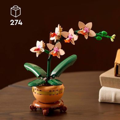 LEGO Конструктор Botanicals Мини орхидея 10343 фото