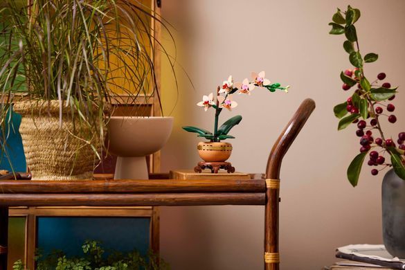 LEGO Конструктор Botanicals Мини орхидея 10343 фото
