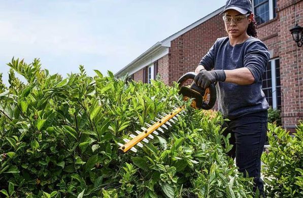 DeWALT Кущоріз акумуляторний с XR FLEXVOLT 54В 65см крок різу 31мм 4.1кг без АКБ та ЗП DCMHT573N фото