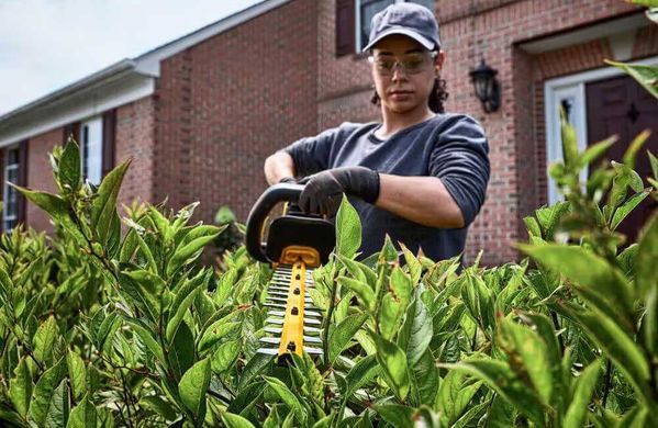 DeWALT Кущоріз акумуляторний с XR FLEXVOLT 54В 65см крок різу 31мм 4.1кг без АКБ та ЗП DCMHT573N фото