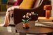 LEGO Конструктор Botanicals Мини орхидея 6 - магазин Coolbaba Toys