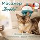 Beurer Beurer Pet massager, from electrical network , 0,4 kg, 4 soft silicone attachments, 2 ntensity levels, white-turquoise 2 - магазин Coolbaba Toys