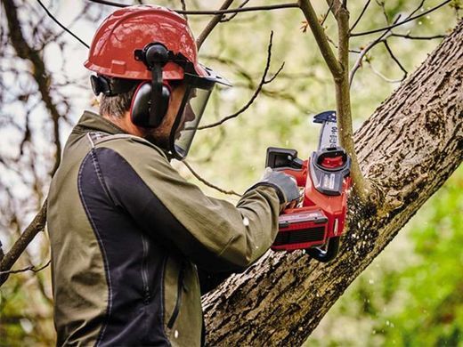Einhell Пила ланцюгова FORTEXXA 18/20 TH акум., PXC, 18В, 20 см, (без АКБ і ЗП) 4600020 фото
