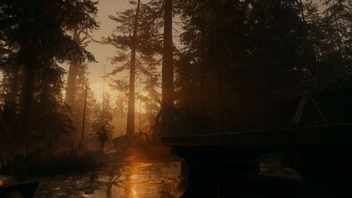 Games Software Alan Wake 2 Deluxe Edition [BD disk] (PS5) 5056635609427 фото