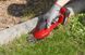 Einhell Ножиці для трави акум GE-CG 18 Li - Solo, 18В, PXC, леза 100/200 мм, 0.66 кг (без АКБ і ЗП) 8 - магазин Coolbaba Toys