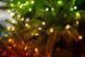 Twinkly Гірлянда Smart LED Twinkly Strings Star RGB 200 IP20 12м USB-C кабель зелений без БЖ 5 - магазин Coolbaba Toys