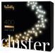 Smart LED Гирлянда Twinkly Cluster AWW 400 Gen II, IP44, длина 6м, кабель черный 1 - магазин Coolbaba Toys