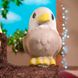 Растущая игрушка в яйце «Eggy Animals» - ПТИЧКИ ( в дисплее) 6 - магазин Coolbaba Toys
