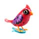 Інтерактивна пташка DIGIBIRDS II - ЧЕРВОНИЙ КАРДИНАЛ (50 мелодій, кліпса) 4 - магазин Coolbaba Toys