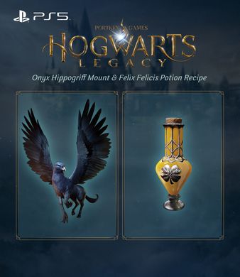 Гра консольна PS5 Hogwarts Legacy, BD диск 5051895413425 фото