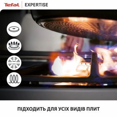 Tefal Tefal Frying Pan, Expertise, 20cm, aluminum, bakelite, black G3210232 фото