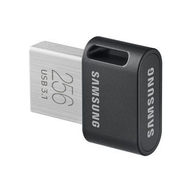 Samsung Fit Plus[MUF-256AB/APC] MUF-256AB/APC фото