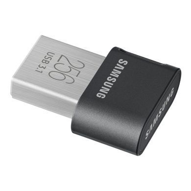 Samsung Fit Plus[MUF-256AB/APC] MUF-256AB/APC фото