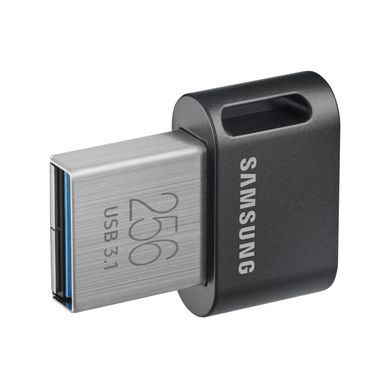 Samsung Fit Plus[MUF-256AB/APC] MUF-256AB/APC фото