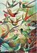 GoodLoot Пазл Imagination: Ernst Haeckel Hummingbirds/Kolibry 1000 ел. 6 - магазин Coolbaba Toys