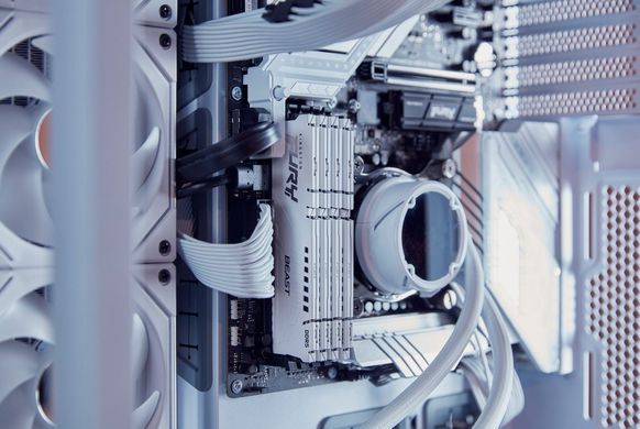 Kingston Память ПК DDR5 32GB 6000 FURY Beast White EXPO KF560C36BWE-32 фото