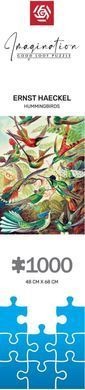 GoodLoot Пазл Imagination: Ernst Haeckel Hummingbirds/Kolibry 1000 ел. 5908305246794 фото