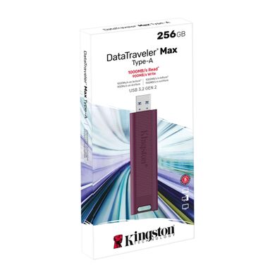 Накопичувач Kingston 256GB USB 3.2 Type-A Gen 2 DT Max DTMAXA/256GB фото