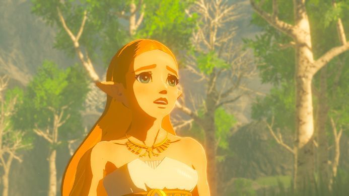 Games Software The Legend of Zelda: Breath of the Wild (Switch) 045496420055 фото