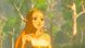Games Software The Legend of Zelda: Breath of the Wild (Switch) 5 - магазин Coolbaba Toys