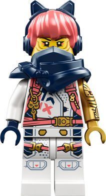 LEGO Конструктор Ninjago Молодий дракон Рію 71810 фото