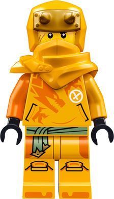 LEGO Конструктор Ninjago Молодий дракон Рію 71810 фото