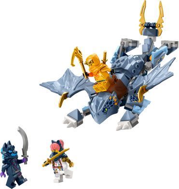 LEGO Конструктор Ninjago Молодий дракон Рію 71810 фото