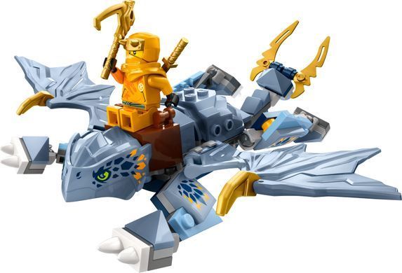 LEGO Конструктор Ninjago Молодий дракон Рію 71810 фото