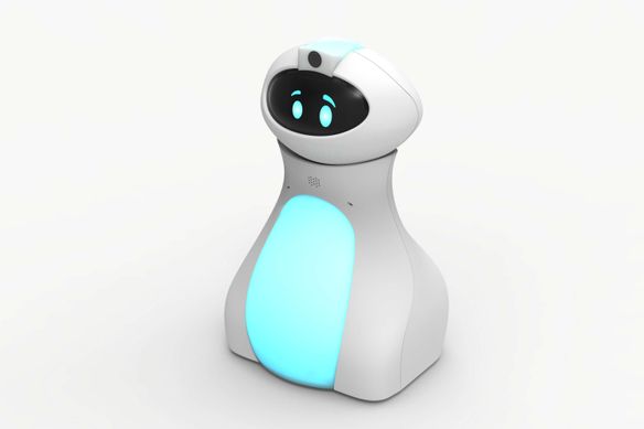 Робот tts Oti-Bot IT10287 фото