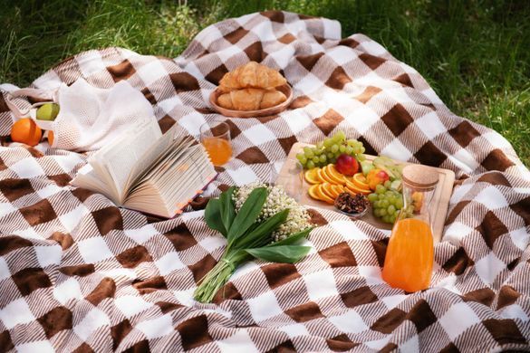 ARDESTO Плед Flannel, 160х200см, клітинка беж, 100% поліестер
