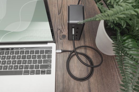 Digitus Кабель DIGITUS USB 4.0 (Type-C/Type-C) 3м, чорний DB-300443-030-S фото