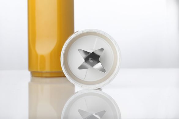 Блендер Gorenje для смузи, 250Вт, чаша-600мл, белый BSM600CLW фото