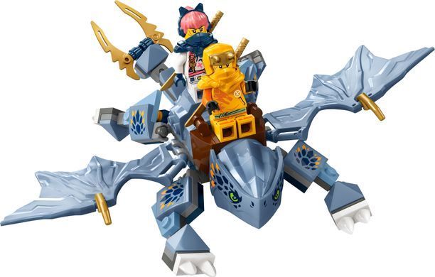 LEGO Конструктор Ninjago Молодий дракон Рію 71810 фото