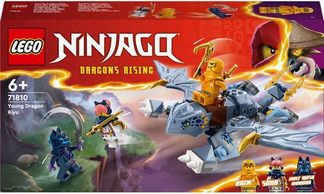 LEGO Конструктор Ninjago Молодий дракон Рію 71810 фото