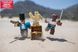 Игровой набор Roblox Game Packs Cannoneers: Battle for Jolly Island W6, 2 фигурки и аксессуары 5 - магазин Coolbaba Toys