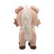 Мягкая игрушка POKEMON - РОКРАФФ W20 (20 cm) 4 - магазин Coolbaba Toys