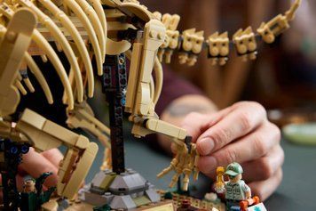 LEGO Конструктор LEGO Jurassic World Скамянілості динозаврів: трицератопс 77985 фото