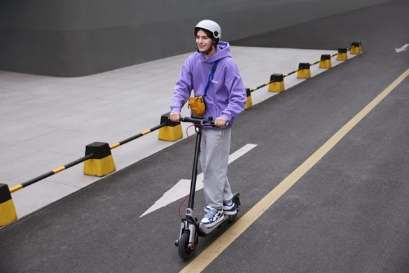 Segway Електросамокат Segway-Ninebot E3, сірий AA.05.19.01.0003 фото
