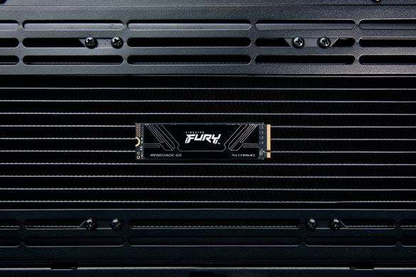 Kingston Накопичувач SSD Kingston M.2 8TB PCIe 5.0 FURY Renegade SFYR2D/8T1 фото