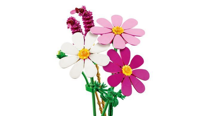 LEGO Конструктор LEGO Botanicals Квіти космеї 11514 фото