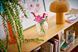 LEGO Конструктор LEGO Botanicals Квіти космеї 10 - магазин Coolbaba Toys