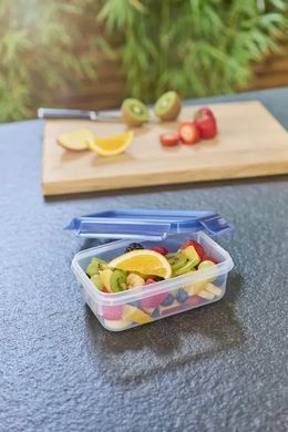Tefal Сковорода Renew+контейнер Tefal Master Seal Eco,26см, 0.8л, алюміній, бакеліт, скло, сірий, прозорий C4250543 фото