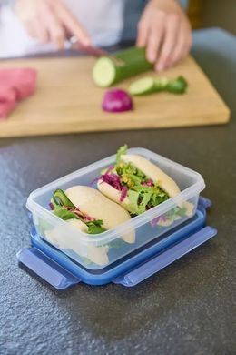 Tefal Сковорода Renew+контейнер Tefal Master Seal Eco,26см, 0.8л, алюміній, бакеліт, скло, сірий, прозорий C4250543 фото