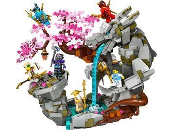LEGO Конструктор Ninjago Храм каменю дракона 71819 фото