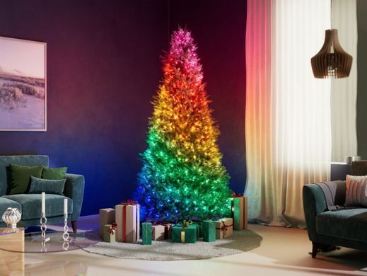 Twinkly Гірлянда Smart LED Twinkly Strings Candle RGB 100 IP20 6м USB-C кабель зелений без БЖ TWKC100RGB-G фото