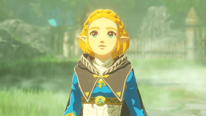 Games Software Гра консольна Switch 2 HYRULE WARRIORS AGE OF IMPRISONMENT, картридж 0045496313500 фото