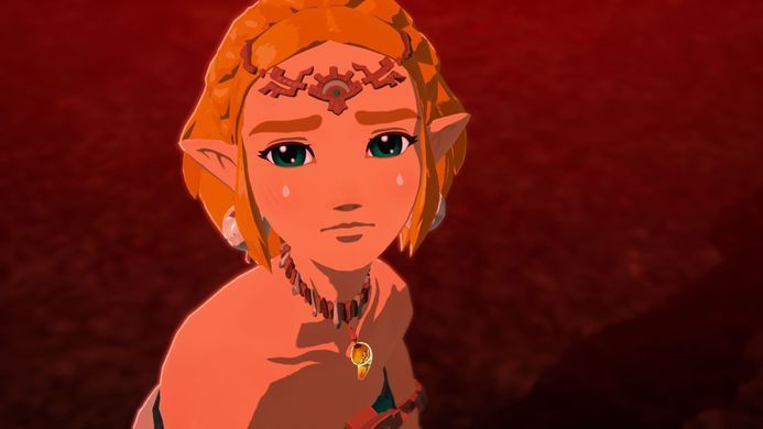 Games Software Гра консольна Switch 2 HYRULE WARRIORS AGE OF IMPRISONMENT, картридж 0045496313500 фото