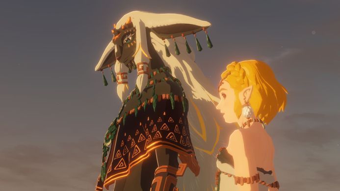 Games Software Гра консольна Switch 2 HYRULE WARRIORS AGE OF IMPRISONMENT, картридж 0045496313500 фото