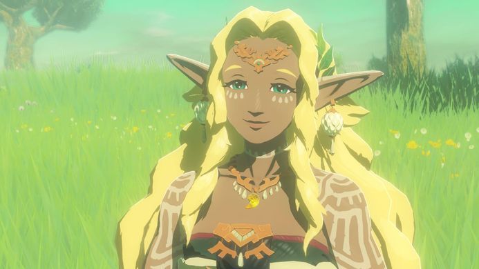 Games Software Гра консольна Switch 2 HYRULE WARRIORS AGE OF IMPRISONMENT, картридж 0045496313500 фото