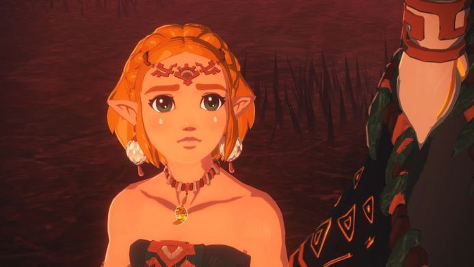 Games Software Гра консольна Switch 2 HYRULE WARRIORS AGE OF IMPRISONMENT, картридж 0045496313500 фото